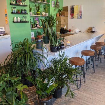 District 78 - The image shows an indoor retail or cafe space with a marble countertop and five wooden bar stools with metal legs. Behind the counter, there are shelves with plants, bottles, and decorative items. Several potted plants are placed in front of the counter, including large leafy varieties. The background includes a wall with colorful artwork and additional shelves with plants and containers. The floor is wood or laminate, and the overall setting appears cozy and inviting. - Nurseries & Gardening Near Me - Cincinnati, Ohio