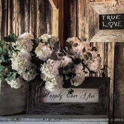 Greystone Farm - Happily Ever After. Captured during #WWPW2016 in Bell Buckle, TN. All Rights Reserved. Copyright 2016 M. Blanca Eyre. 20161001