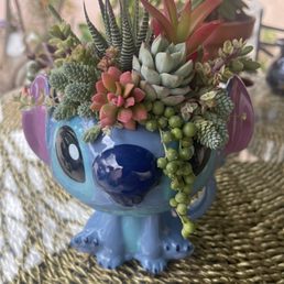 Stitch Succulent