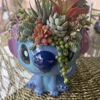 The Opulent Succulent - Stitch Succulent - Jewelry Near Me - Orange, California