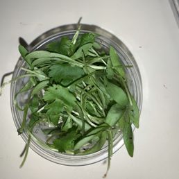 Cilantro (to go), but with dirt all over it Cilantro (to go), but with dirt all over it