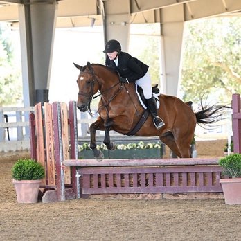 Seascape Sport Horses - Woodside Summer Classic - Horseback Riding Near Me - Gilroy, California Seascape Sport Horses - Woodside Summer Classic - Horseback Riding Near Me - Gilroy, California