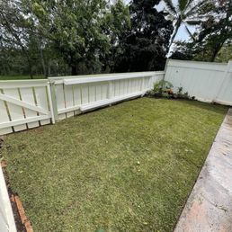 Back yard after