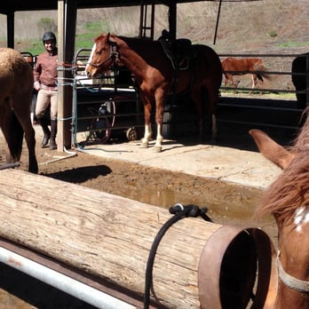 Chaparral Ranch - Ready to go! - Horseback Riding Near Me - Woodside, California