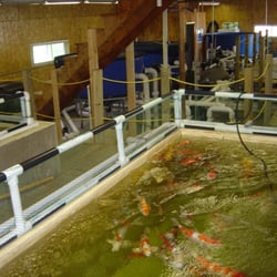 Koi Acres - Koi Acres