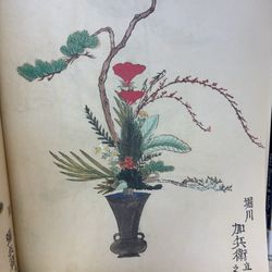 Koloa Public School Library - Beautiful art books on display