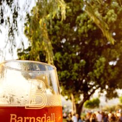 Barnsdall Friday Night Wine Tastings - Free Tix from Yelp :)