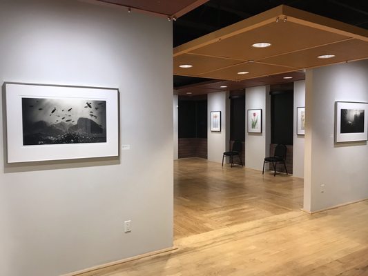 Art Intersection by null