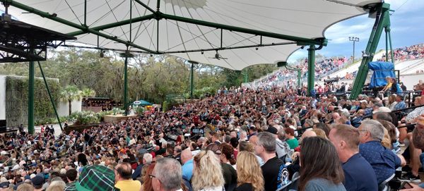 The St. Augustine Amphitheatre by null