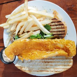 Fish Sub