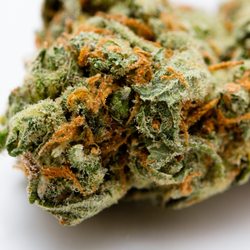 Green Inca - CBD-Blüten kaufen bei Green Inca CBD Shop Zürich