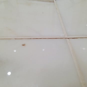 Passeri Marble & Tile - Floor lifting and separating due to improper and shoddy installation - Countertop Installation Near Me - Delray Beach, Florida