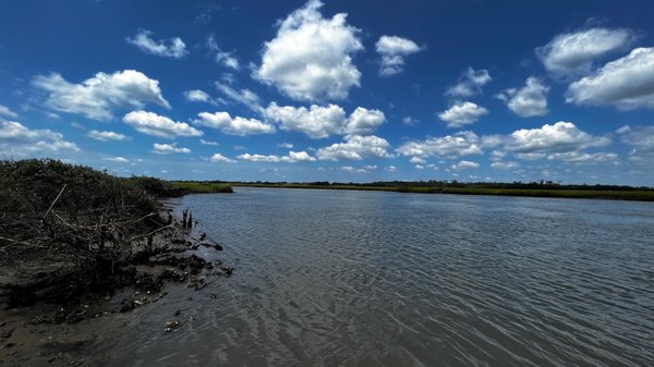 Kiawah Beachwalker Park by null