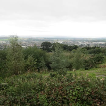 Edinburgh Zoo - View from the top of the hill in the zoo. - Zoos Near Me - Edinburgh, EDH