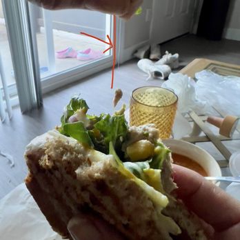 Bite Better Salads N More - Sandwiches Near Me - Redlands, California Bite Better Salads N More - Sandwiches Near Me - Redlands, California