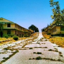Roundhouse Productions - Fort Ord clean up day.