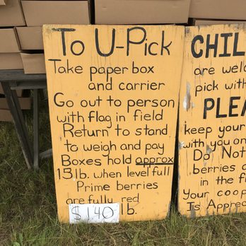 Harvold Berry Farm - U-pick! $1.40 per pound!!! - Pick Your Own Farms Near Me - Carnation, Washington Harvold Berry Farm - U-pick! $1.40 per pound!!! - Pick Your Own Farms Near Me - Carnation, Washington