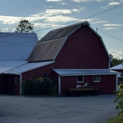 Lakeside General Store - General store