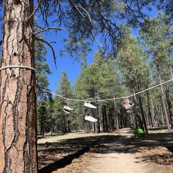 The Barefoot Trail - Parks Near Me - Bellemont, Arizona The Barefoot Trail - Parks Near Me - Bellemont, Arizona