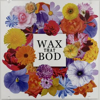 Wax That Bod - Waxing Near Me - Tega Cay, South Carolina Wax That Bod - Waxing Near Me - Tega Cay, South Carolina