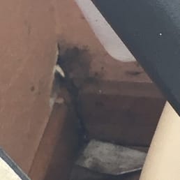 Photo 1 - the very dirty moldy corner near the dryer. Photo 1 - the very dirty moldy corner near the dryer.