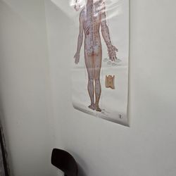 Mega Acupuncture - Cool ...posters of anatomy..  I don't miss those classes but it's good to know where pain stems from