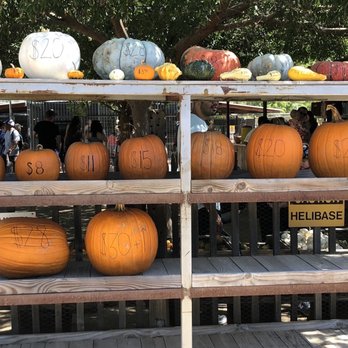 Peltzer Pumpkin Farm - Pumpkin prices as of Oct 1, 2022 - Pumpkin Patches Near Me - Temecula, California