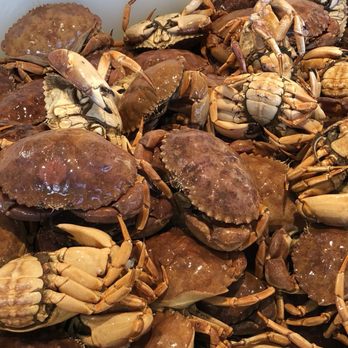 Quality Seafood - Beautiful FRESH LIVE stone crab - Seafood Markets Near Me - Redondo Beach, California Quality Seafood - Beautiful FRESH LIVE stone crab - Seafood Markets Near Me - Redondo Beach, California