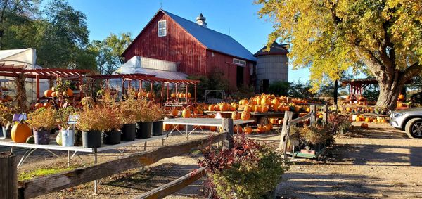 AXDAHL’S GARDEN FARM & GREENHOUSE - Updated June 2024 - 20 Photos