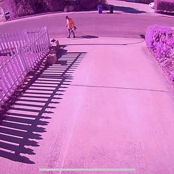 Higuera Tree Care - Constantly cleaning up - Tree Services Near Me - Chula Vista, California Higuera Tree Care - Constantly cleaning up - Tree Services Near Me - Chula Vista, California