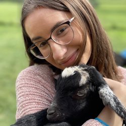 Majestic Meadows Alpacas & Boutique