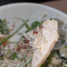Fly (on the fork) Fly (on the fork)