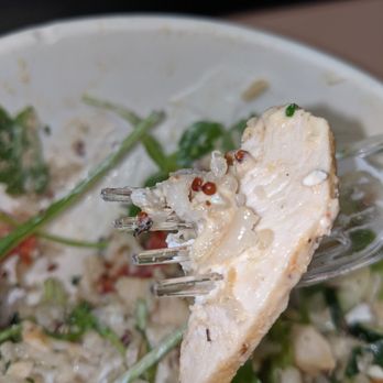 Panera Bread - Fly (on the fork) - Sandwiches Near Me - Loveland, Colorado Panera Bread - Fly (on the fork) - Sandwiches Near Me - Loveland, Colorado