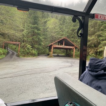 Alaska Canopy Adventures - Tours Near Me - Ketchikan, Alaska Alaska Canopy Adventures - Tours Near Me - Ketchikan, Alaska