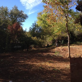 Mercado Tree Service - You couldn't even see through our backyard when we first bought our home 3 weeks ago. Mercado ROCKs! - Tree Services Near Me Mercado Tree Service - You couldn't even see through our backyard when we first bought our home 3 weeks ago. Mercado ROCKs! - Tree Services Near Me