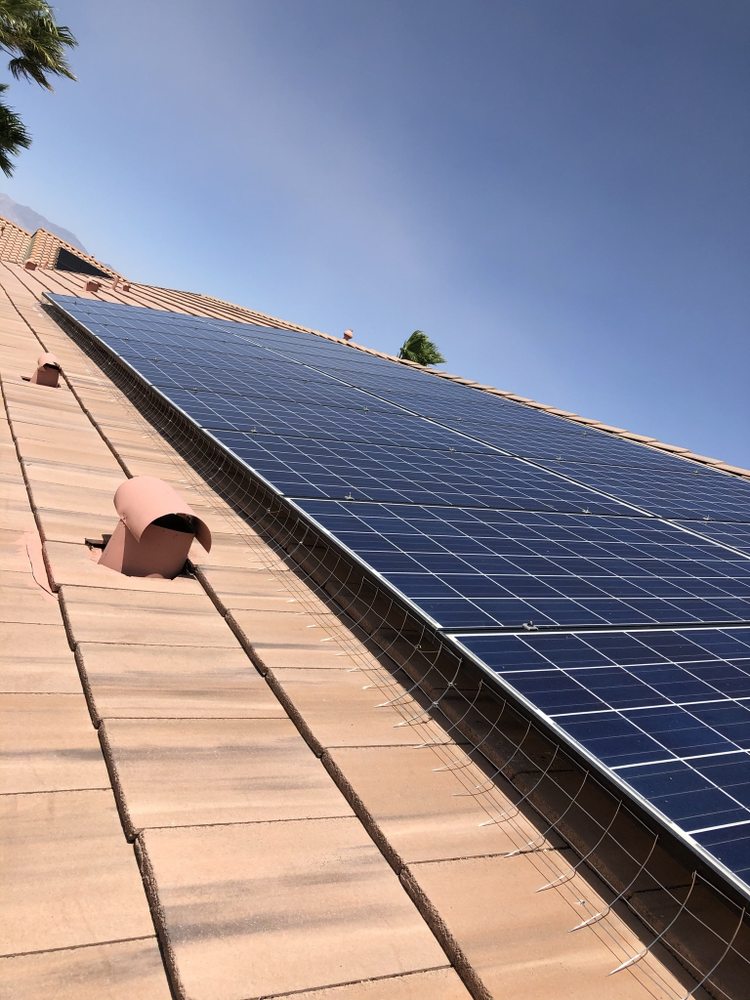 COMPLETE PIGEON CONTROL Updated September 2024 125 Photos & 50 Reviews 719 East Lake Mead