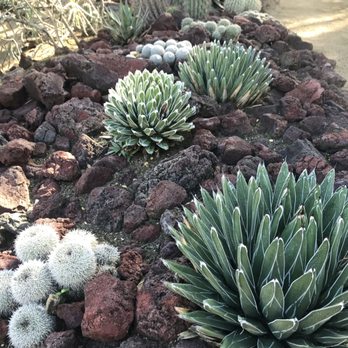 Moorten Botanical Garden - Nurseries & Gardening Near Me - Palm Springs, California Moorten Botanical Garden - Nurseries & Gardening Near Me - Palm Springs, California