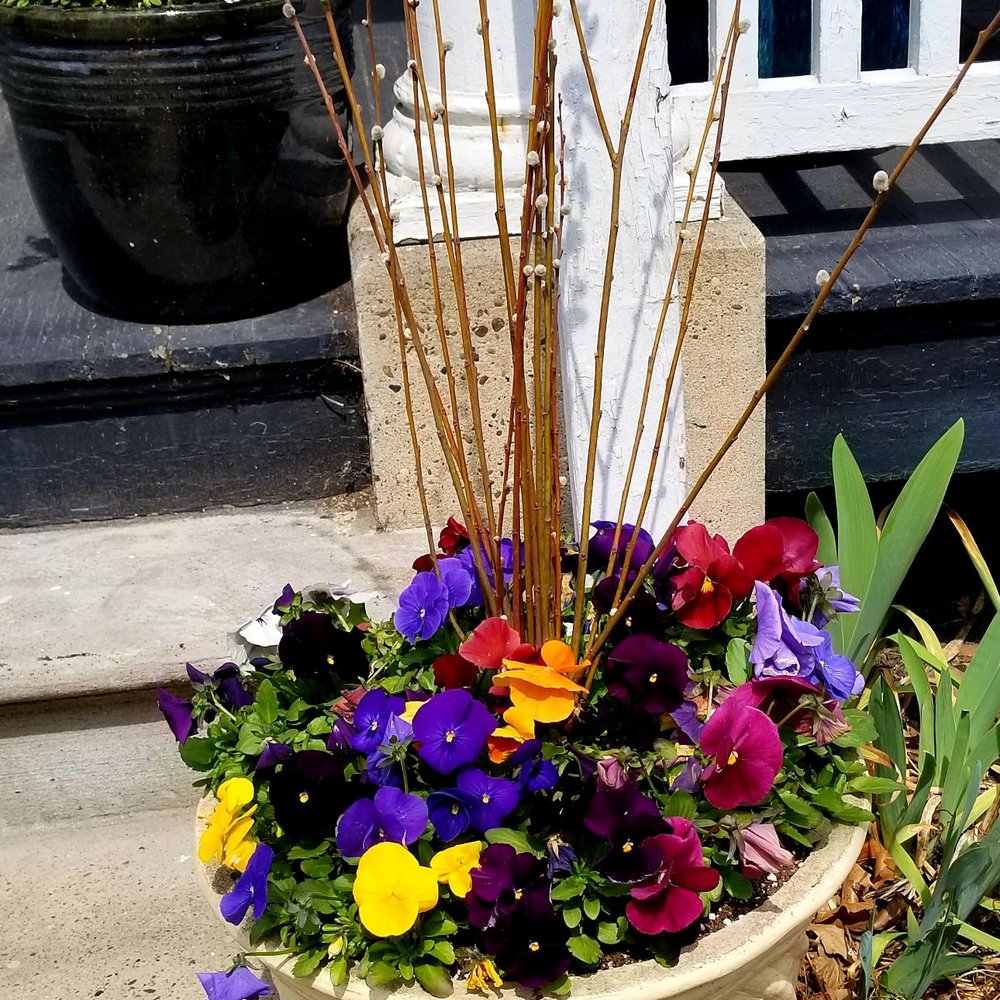 La Bella Vita on Main - Skin Care Near Me - New Hope, Pennsylvania