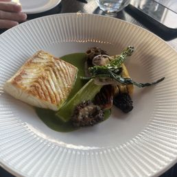 Halibut Halibut