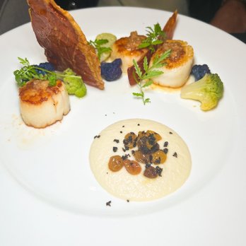 Ponte Modern American - Scallops - New American Near Me - Tampa, Florida Ponte Modern American - Scallops - New American Near Me - Tampa, Florida