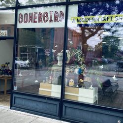 Bowerbird - Bowerbird storefront on E Winter St in Delaware, OH
