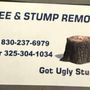 Photo of Tree and Stump Removal