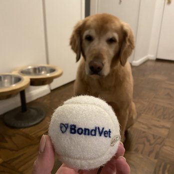 Bond Vet - Upper East Side at 62nd Street - Free tennis ball! - Veterinarians Near Me - Manhattan, New York