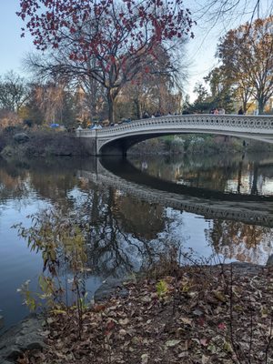 Bow Bridge by null