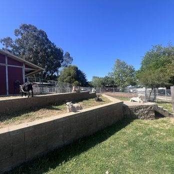 Loma Vista Farm - Goats - Attraction Farms Near Me - Vallejo, California