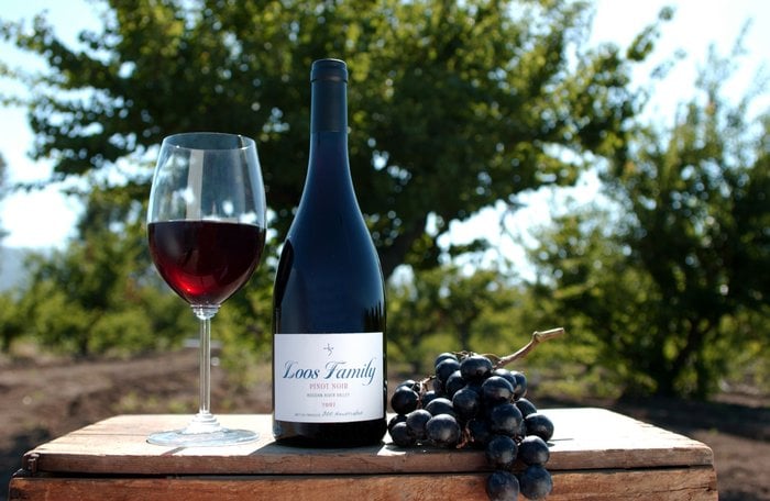 Loos Family Winery - vineyard in San Jose, CA