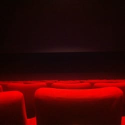 Le Cinéma des Quais - Petite salle (9)