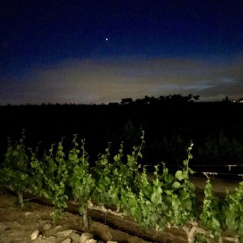 Temecula Carriage Company - Illuminate vineyards with carriage twinkle lights - Wine Tours Near Me - Temecula, California
