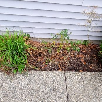 Patrick Lawncare - Lawn Services Near Me Patrick Lawncare - Lawn Services Near Me
