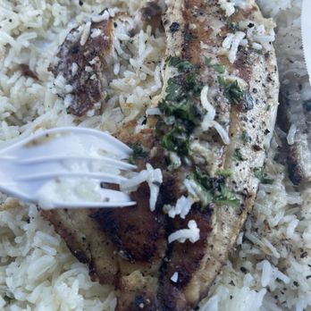 Jasmine Grill - Burned edges of fish - Mediterranean Near Me - Charlotte, North Carolina Jasmine Grill - Burned edges of fish - Mediterranean Near Me - Charlotte, North Carolina